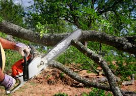 Best Commercial Tree Services  in Ketchikan, AK